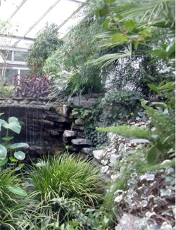 greenhouse