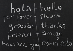 Translator