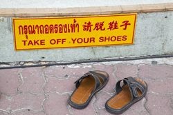 Translation